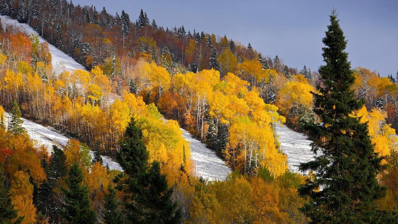 Le Bivouac - Les Chalets Spa Canada La Malbaie Kültér fotó