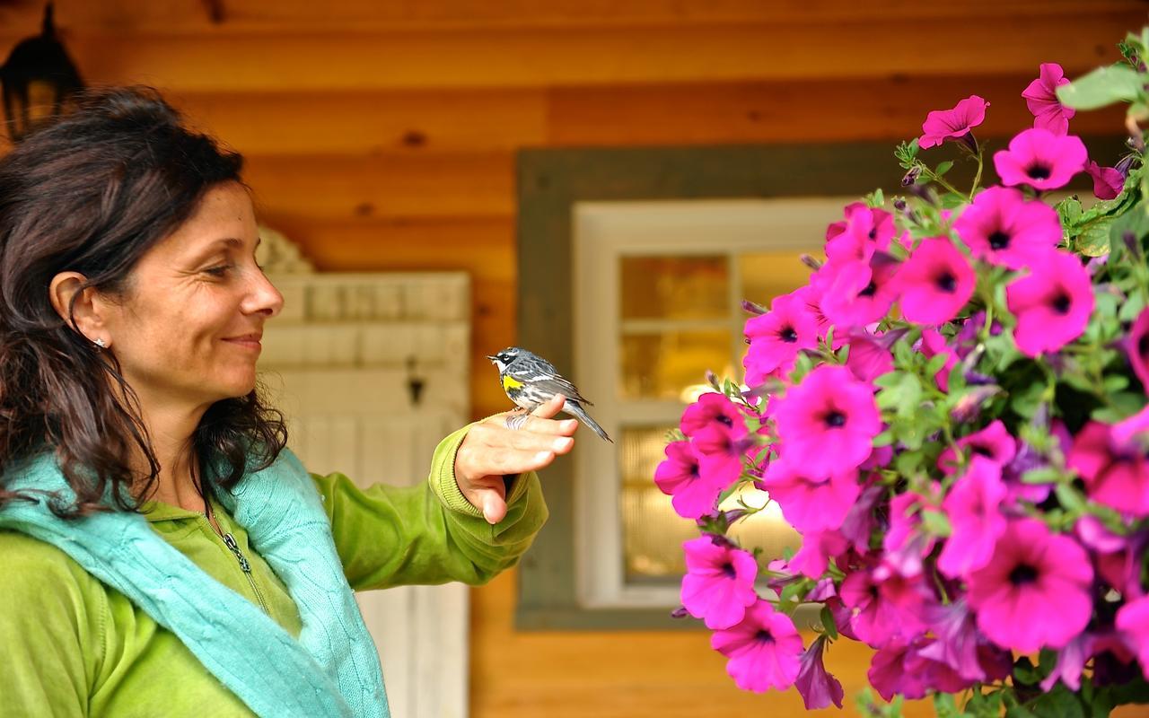 Le Bivouac - Les Chalets Spa Canada La Malbaie Kültér fotó